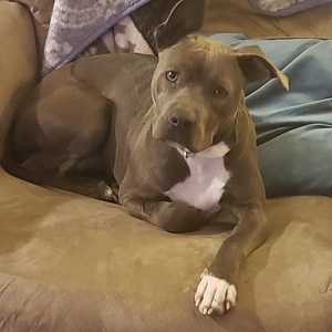 Fundraising Page: Brandy Terry